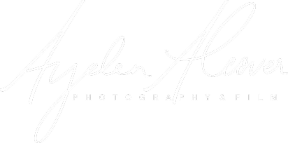 AY logo 3